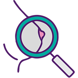 MAMMOGRAFIA Centro Diagnostico Polispecialistico Semeraro