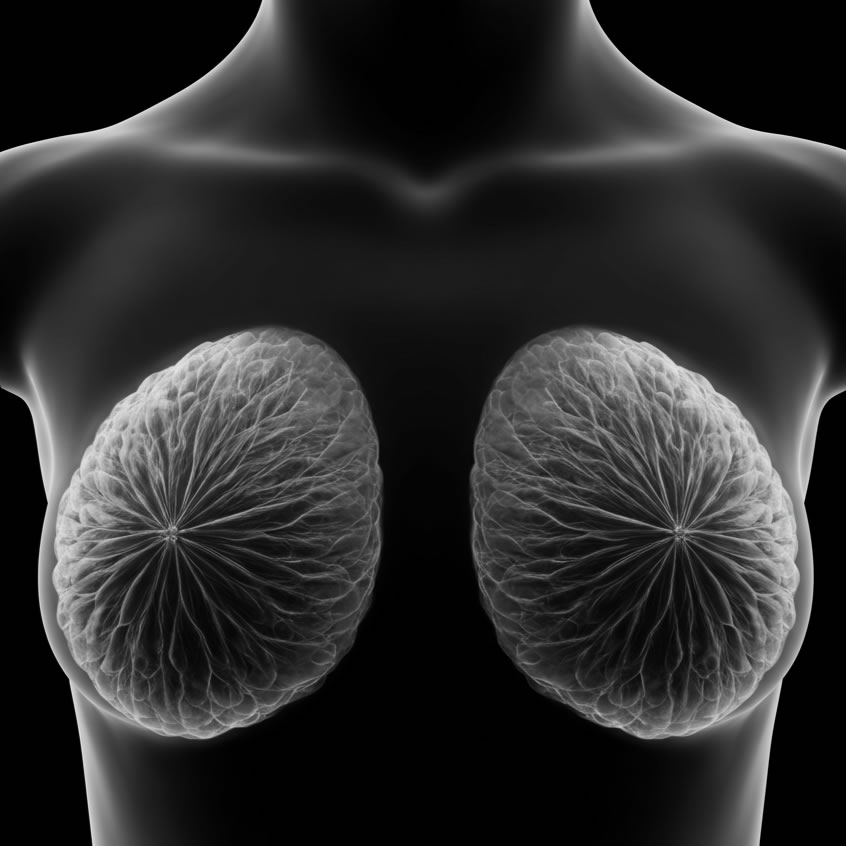 Mammografia Centro Diagnostico Polispecialistico Semeraro