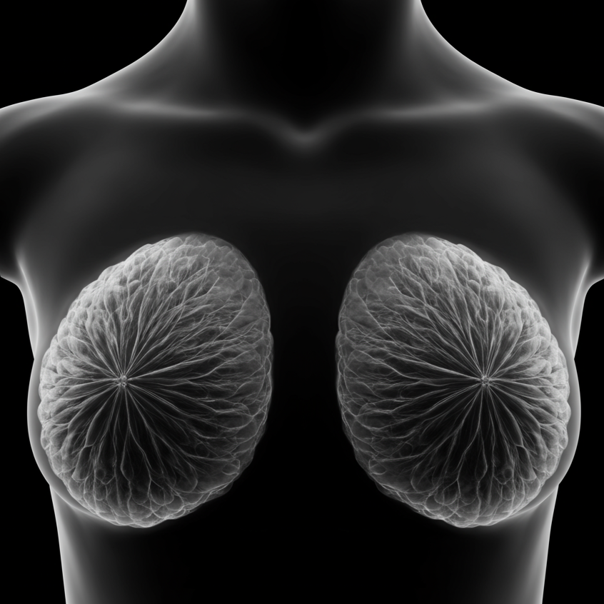 Centro Diagnostico Polispecialistico Semeraro